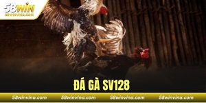 ĐÁ GÀ SV128