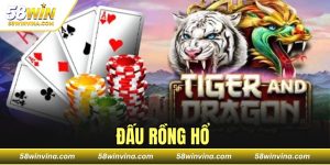 ĐẤU RỒNG HỔ